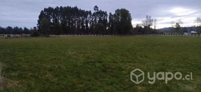 hermosa parcela en cuenca del lago ranco - Imagen 2