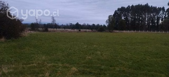 hermosa parcela en cuenca del lago ranco - Imagen 3