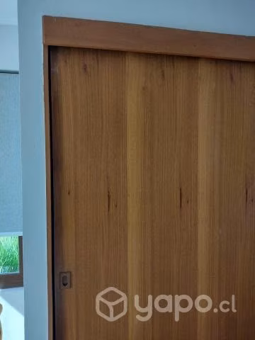 Puerta de closet