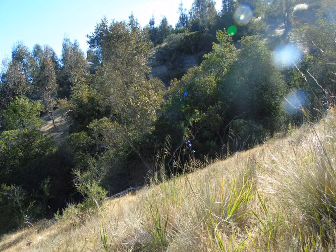 Terreno en la estrella, Litueche - Imagen 2