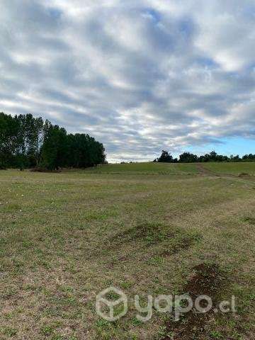 Parcela 5.000 m2 - Parque Huillín - Imagen 4