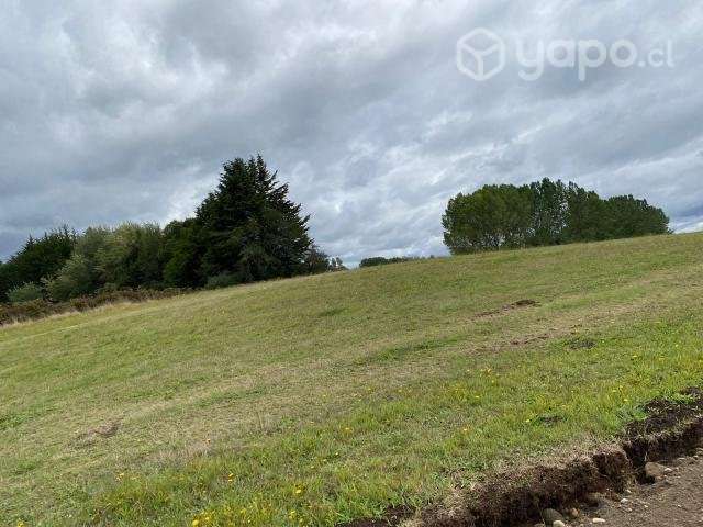 Parcela 5.000 m2 - Parque Huillín - Imagen 5