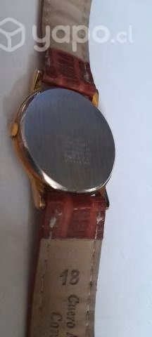 Orient-Citizen-Festina