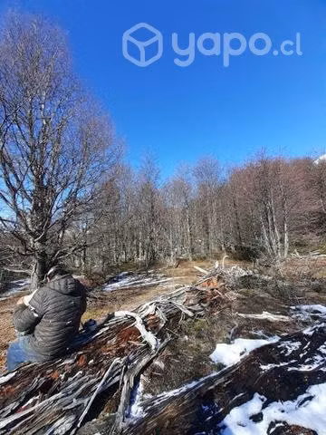 Terreno buena vista 2