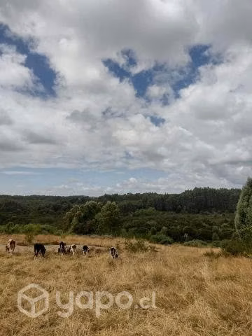 Parcela en Coquiao, Chiloé