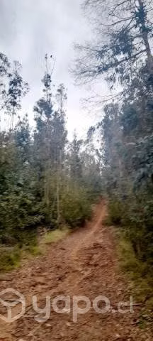 terreno en Botacura sector rural