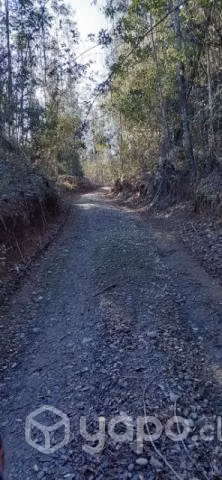 terreno en Botacura sector rural
