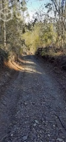terreno en Botacura sector rural
