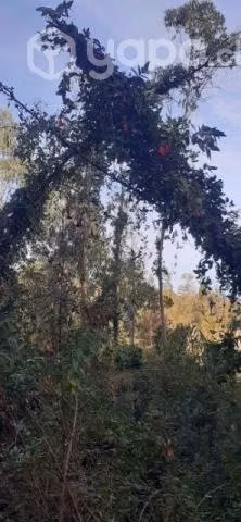 terreno en Botacura sector rural