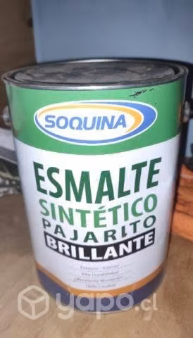 Galón pintura blanca