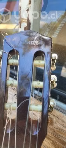 Guitarra Electroacústica Fender