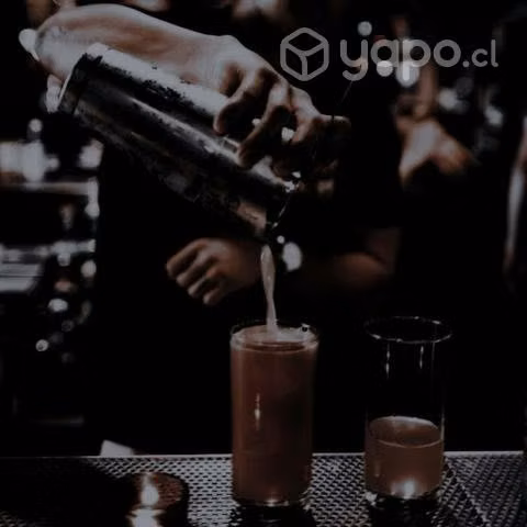 Servicio de garzoneria y/o barman