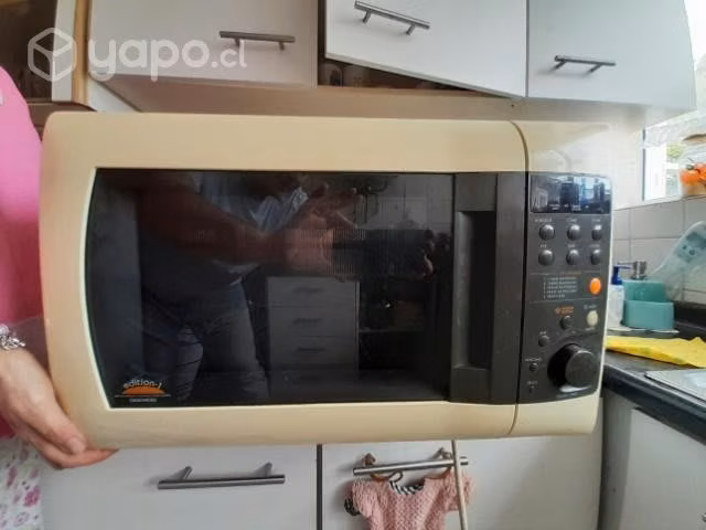 Microondas y Computador