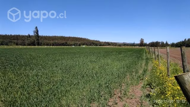 Parcela de una hectarea cerca de Angol - Imagen 5