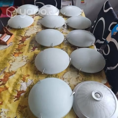 Lote plafón