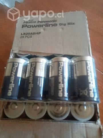 Panasonic D