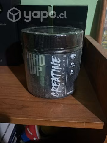 Creatina Pro Up 300 gramos 60 servicios