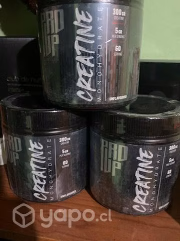 Creatina Pro Up 300 gramos 60 servicios
