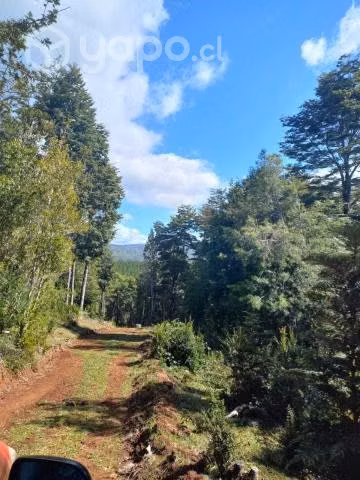 Hermosas parcelas de 10.000 m2