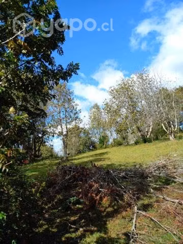 Hermosas parcelas de 10.000 m2