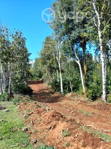 Hermosas parcelas de 10.000 m2