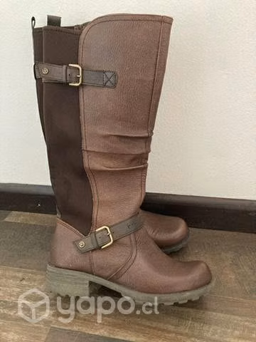 Botas earth origins
