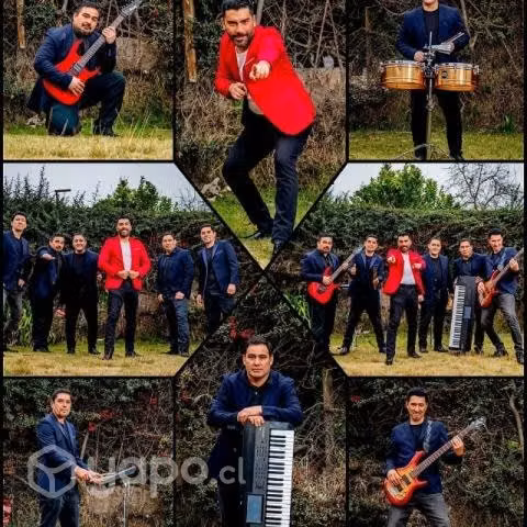 Banda " música en vivo"