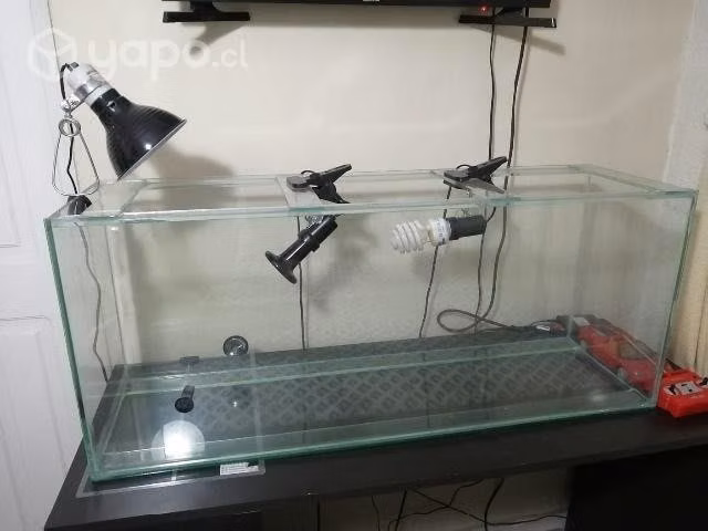 Tortuguero vidrio