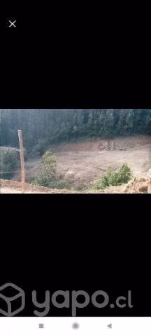 Parcela - Imagen 4