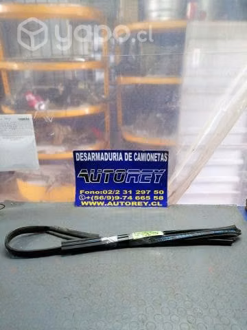 Goma vidrio puerta del izq Nissan Xtrail 2011