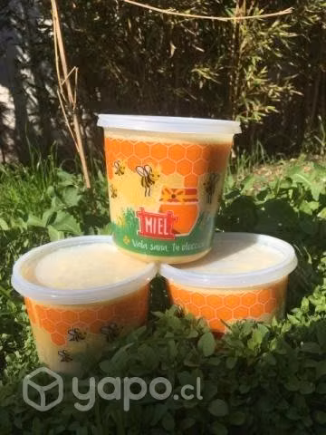 Miel multifloral pote 1kilo - Imagen 2