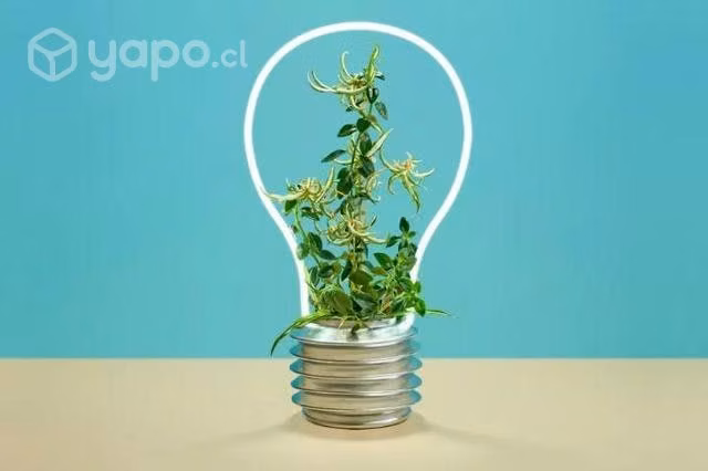 Mini emprendimiento Asesoría publicidad digital