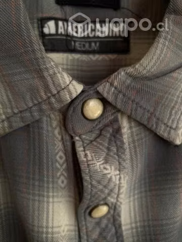 Camisa mangalarga americanino