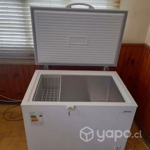 Congeladora fenza 296 litros