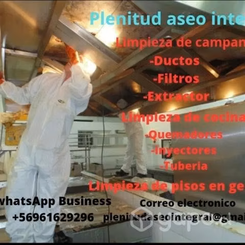 Limpieza de campana