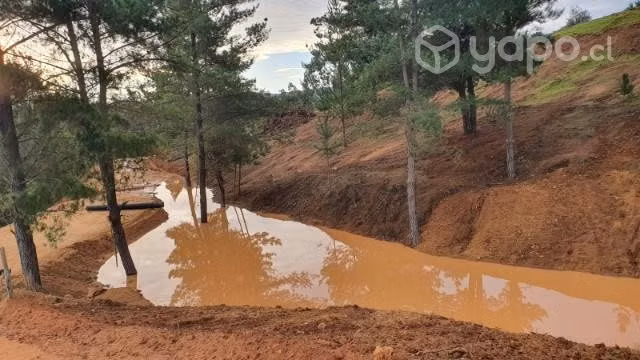Parcela con luz y agua - Imagen 10