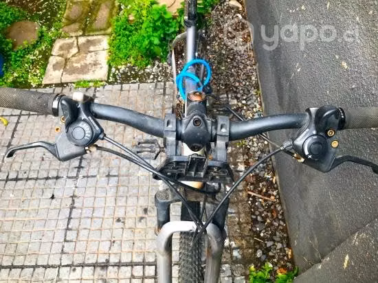bicicleta Bianchi mujer - Imagen 3