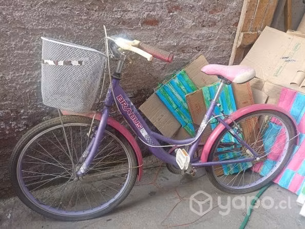 Bicicleta