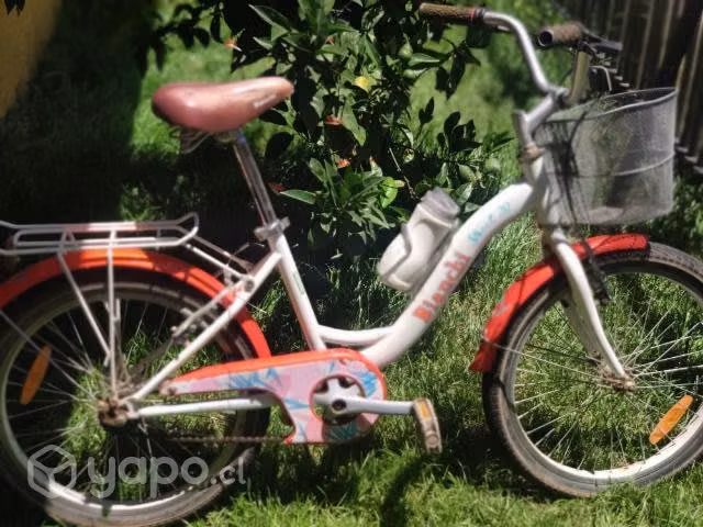 Bicicleta de paseo - Imagen 3