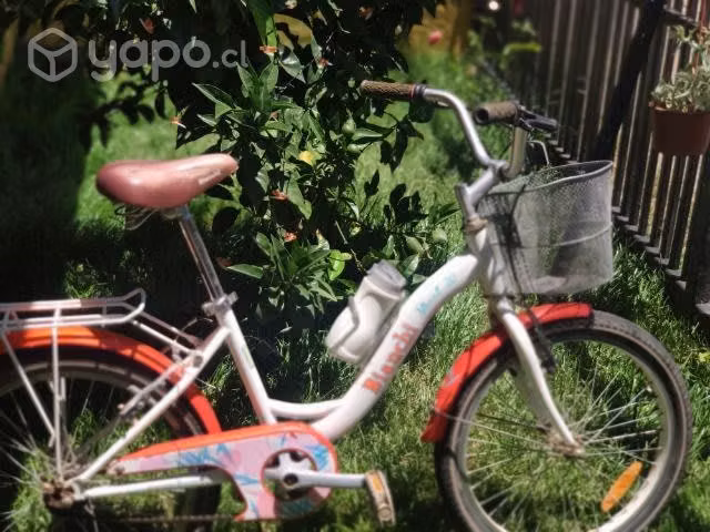 Bicicleta de paseo