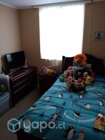 Departamento Viña Santa Blanca - Imagen 7