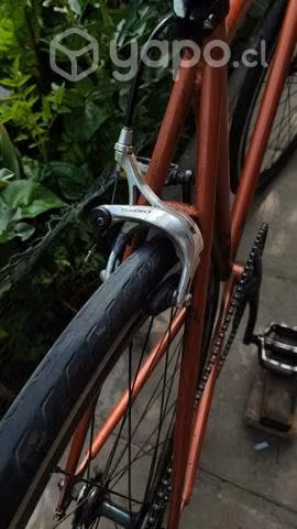 Bicicleta Fixie Speed Calabera - Imagen 2
