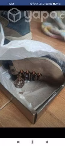 Zapato de seguridad premiun