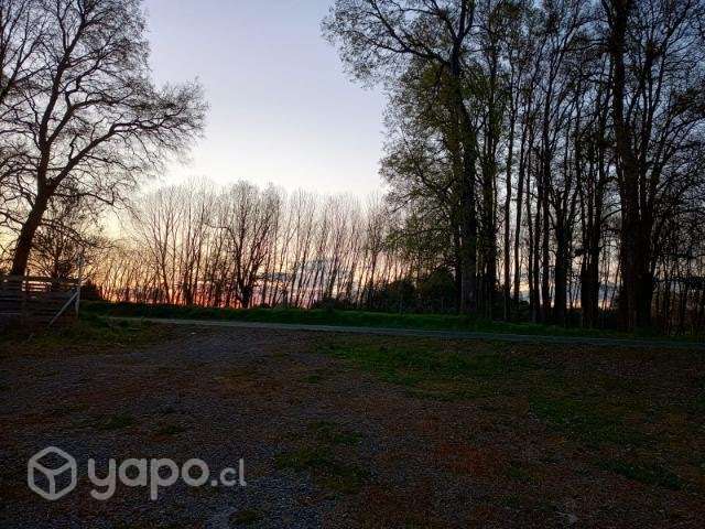 Sitio en venta en las quemas 1.200 mts2 - Imagen 3