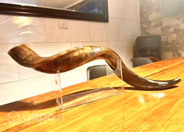 Hermoso servicio de vitrificado de shofar