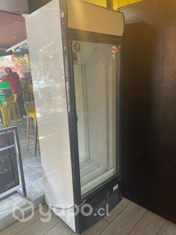 Visicooler 1 puerta maigas 260 lts