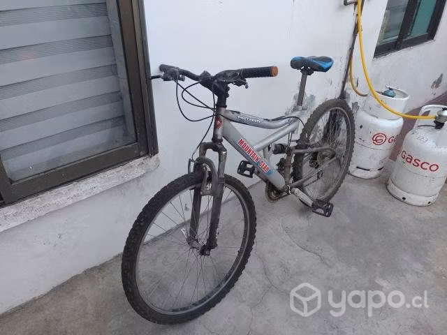Bicicleta