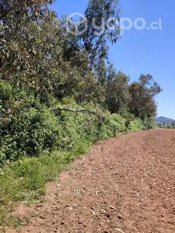 Terreno 5.000 m2 (media hectárea)