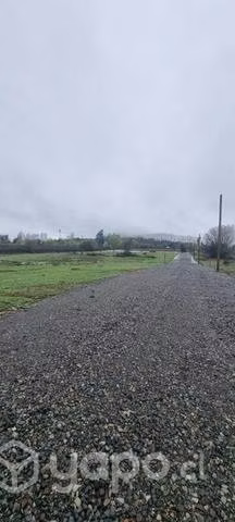 Terreno 5.000 m2 (media hectárea) - Imagen 2