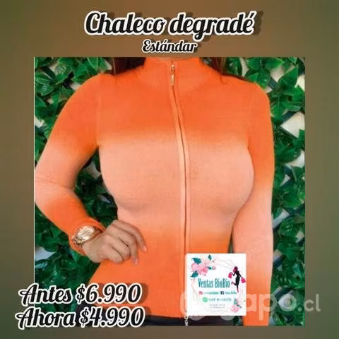 Chaleco degradé